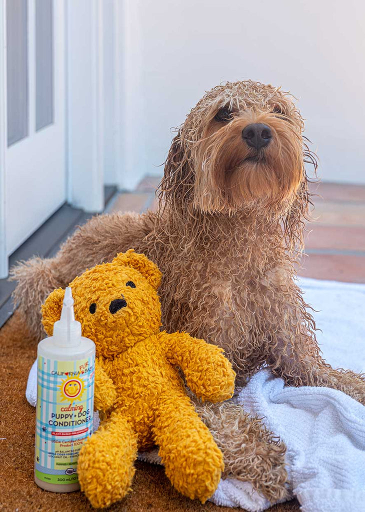 Dog fur outlet conditioner