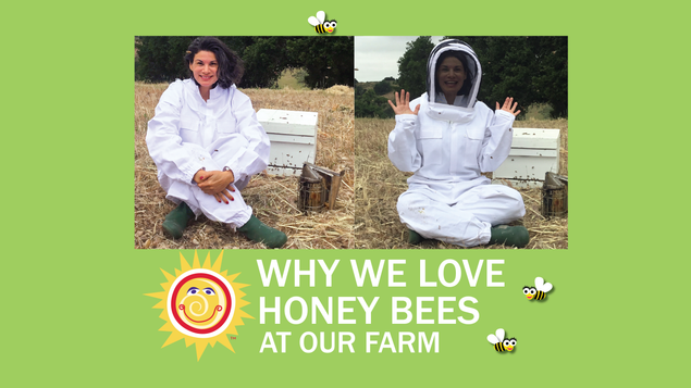 Episode 01 - 10 Honey Bee hives arrive at California Baby's farm! Image