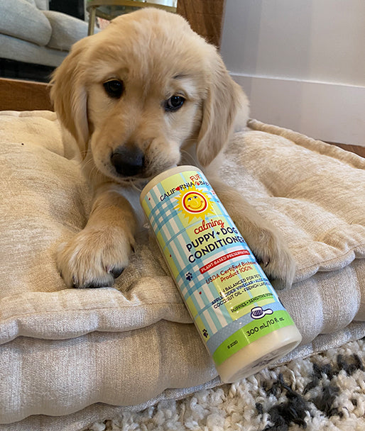 Fur Baby