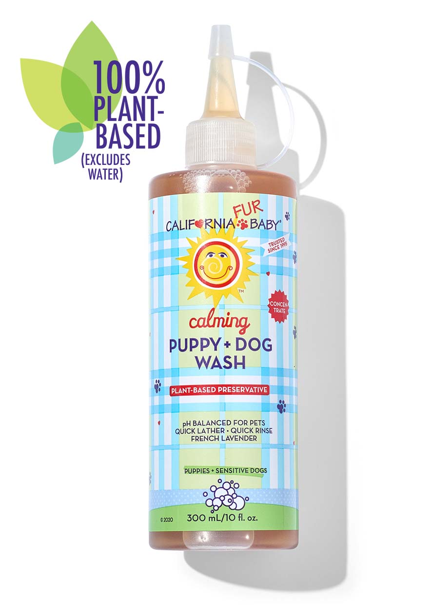 Baby wash clearance on dogs