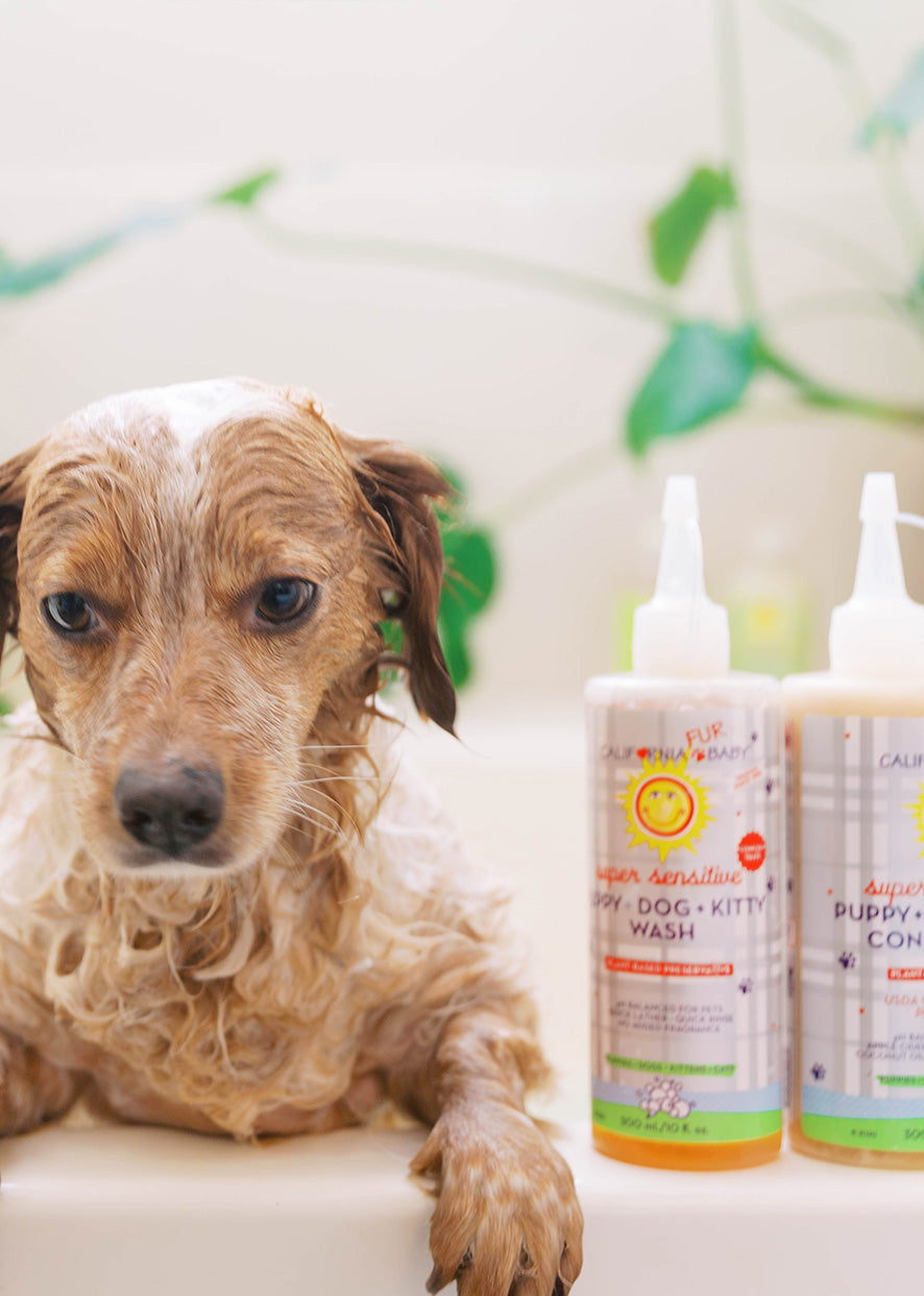 Wash puppy hotsell with baby shampoo